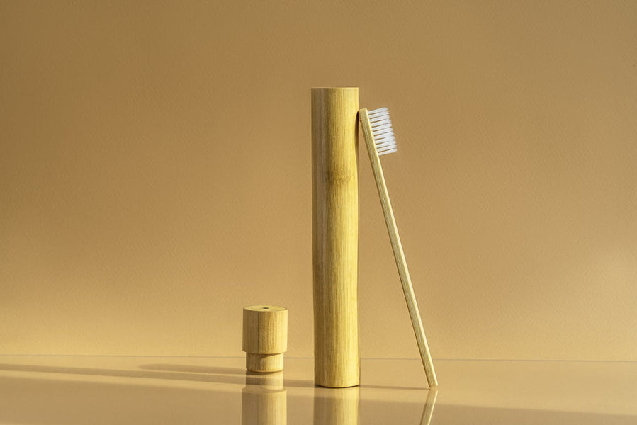 Best Travel Toothbrush - Do You Need One? How To Transport a Sonic Toothbrush